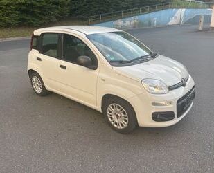 Fiat New Panda Gebrauchtwagen