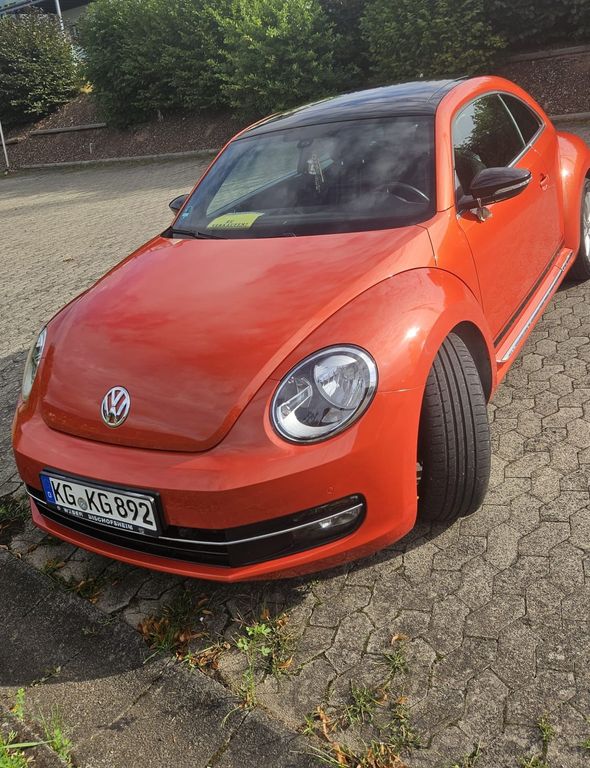 Bild 1
