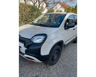 Fiat Panda Gebrauchtwagen