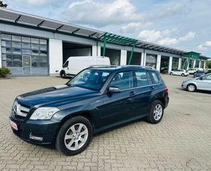 Mercedes-Benz GLK 220 Gebrauchtwagen