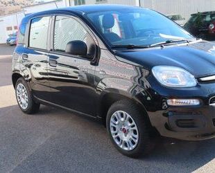 Fiat Panda Gebrauchtwagen