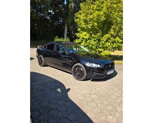 Jaguar XF Gebrauchtwagen