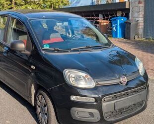 Fiat New Panda Gebrauchtwagen