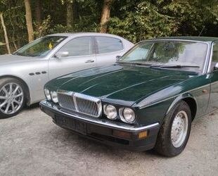 Jaguar XJ40 Gebrauchtwagen