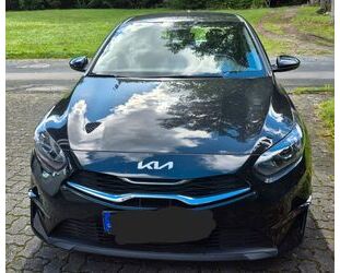 Kia ceed / Ceed Gebrauchtwagen