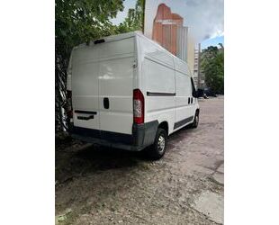 Fiat Ducato Gebrauchtwagen