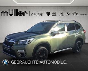 Subaru Forester Gebrauchtwagen