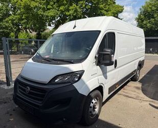 Fiat Ducato Gebrauchtwagen