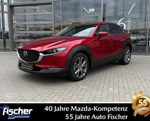 Mazda CX-30 Gebrauchtwagen