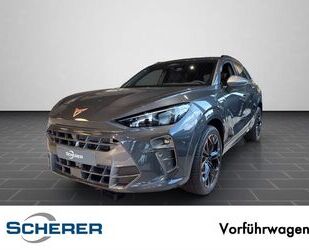Cupra Terramar Gebrauchtwagen