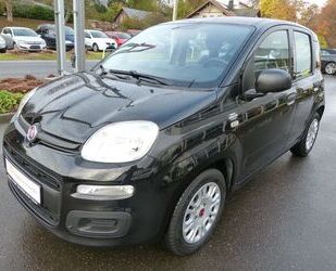 Fiat Panda Gebrauchtwagen