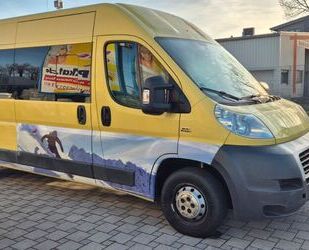 Fiat Ducato Gebrauchtwagen