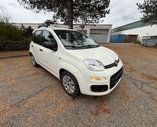 Fiat Panda Gebrauchtwagen