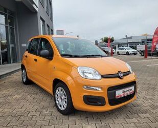 Fiat Panda Gebrauchtwagen