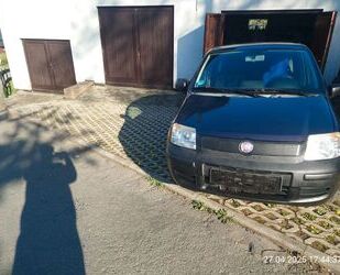 Fiat Panda Gebrauchtwagen