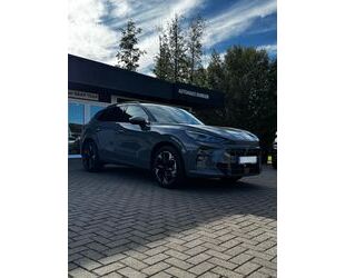 Cupra Terramar Gebrauchtwagen