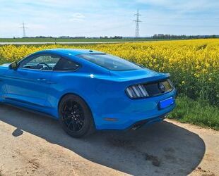 Ford Mustang Gebrauchtwagen