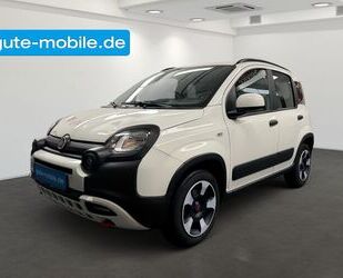 Fiat Panda Gebrauchtwagen