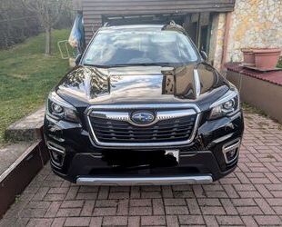 Subaru Forester Gebrauchtwagen