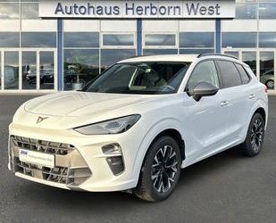 Cupra Terramar Gebrauchtwagen