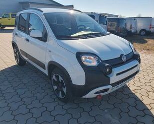 Fiat Panda Gebrauchtwagen