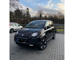 Fiat Panda Gebrauchtwagen