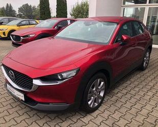 Mazda CX-30 Gebrauchtwagen