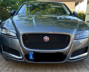 Jaguar XF Gebrauchtwagen