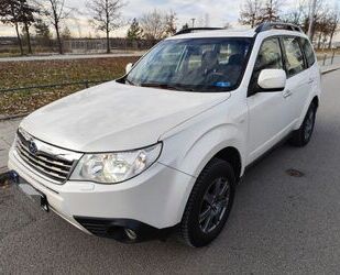 Subaru Forester Gebrauchtwagen