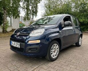 Fiat Panda Gebrauchtwagen