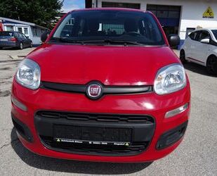 Fiat Panda Gebrauchtwagen