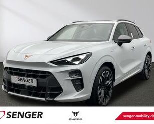 Cupra Terramar Gebrauchtwagen