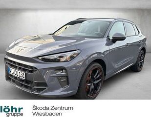 Cupra Terramar Gebrauchtwagen