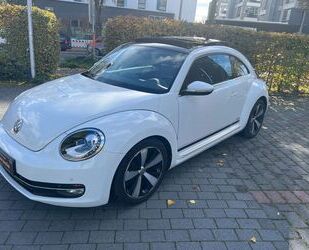 VW Beetle Gebrauchtwagen