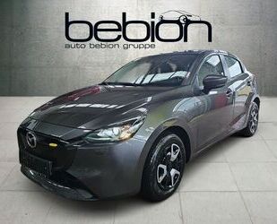 Mazda 2 Gebrauchtwagen