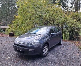 Fiat Punto Gebrauchtwagen