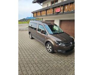 VW Caddy Maxi Gebrauchtwagen