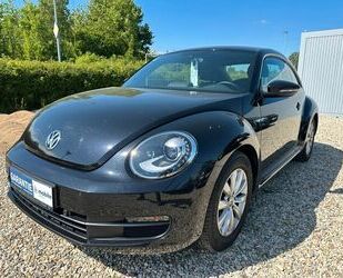 VW Beetle Gebrauchtwagen