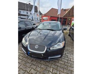 Jaguar XF Gebrauchtwagen