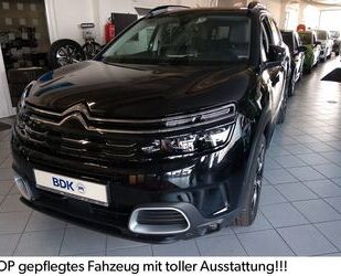 Citroen C5 Aircross Gebrauchtwagen