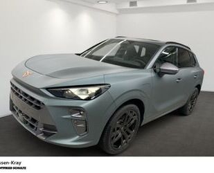 Cupra Terramar Gebrauchtwagen