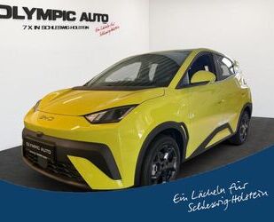 BYD DOLPHIN Gebrauchtwagen