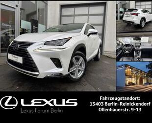 Lexus NX 300 Gebrauchtwagen
