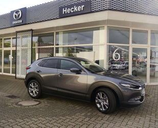 Mazda CX-30 Gebrauchtwagen