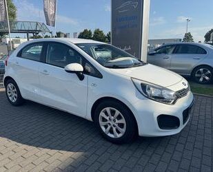Kia Rio Gebrauchtwagen