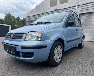 Fiat Panda Gebrauchtwagen