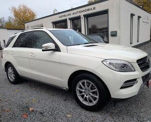 Mercedes-Benz ML 250 Gebrauchtwagen