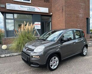 Fiat Panda Gebrauchtwagen