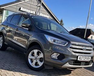 Ford Kuga Gebrauchtwagen