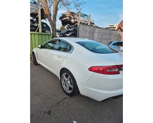 Jaguar XF Gebrauchtwagen